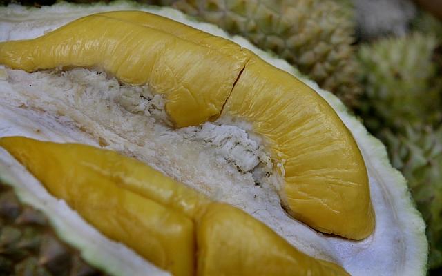 about-durian 1