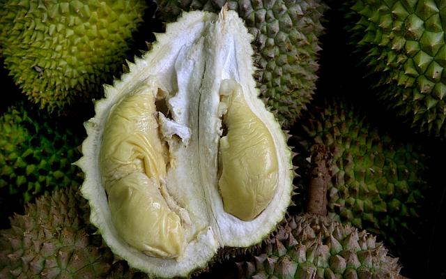 about-durian 3