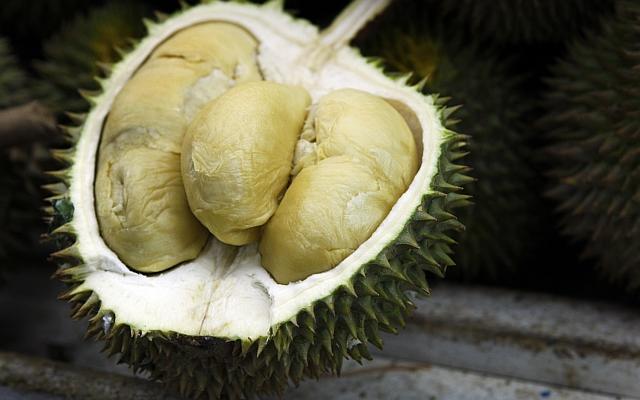 about-durian 4