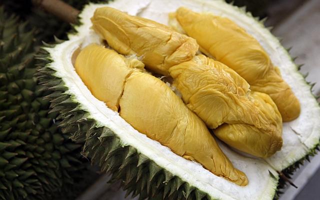about-durian 6