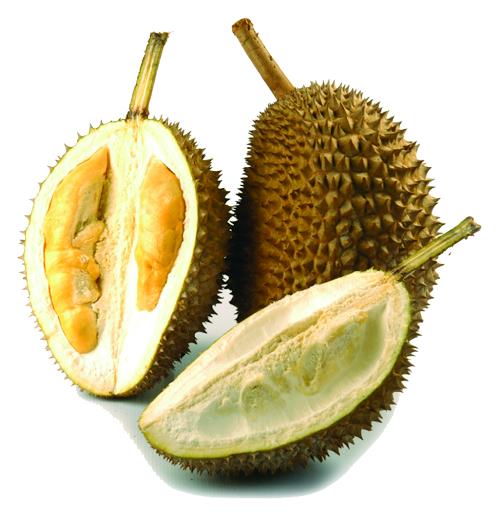 about-durian 7